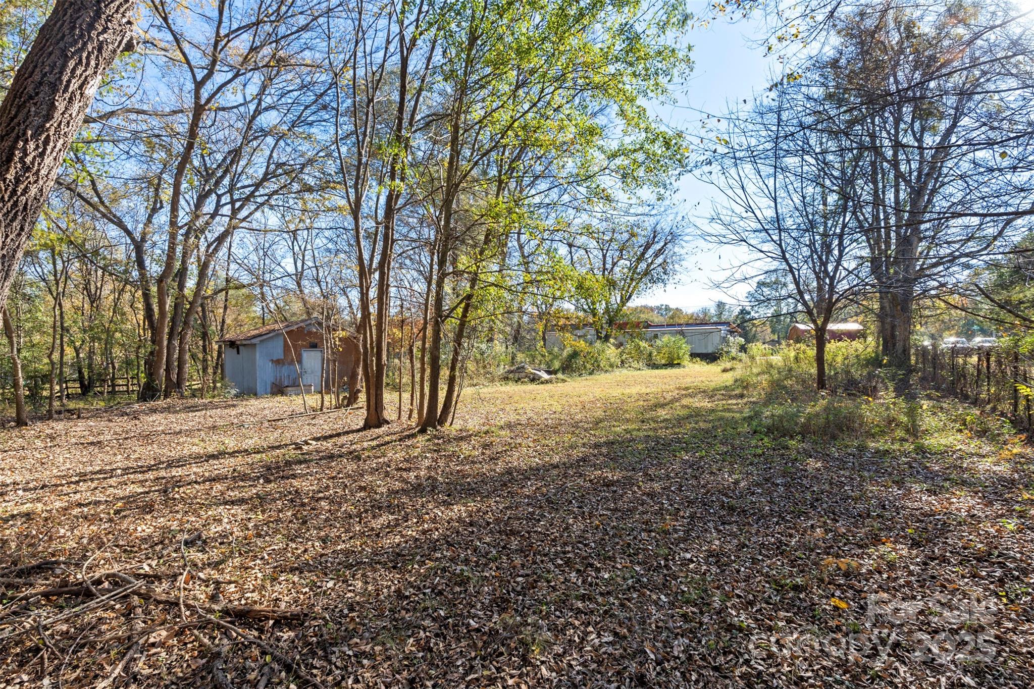3913 Stough Road Concord, NC 28027 - Photo 19 of 20 a view of a yard with plants and trees