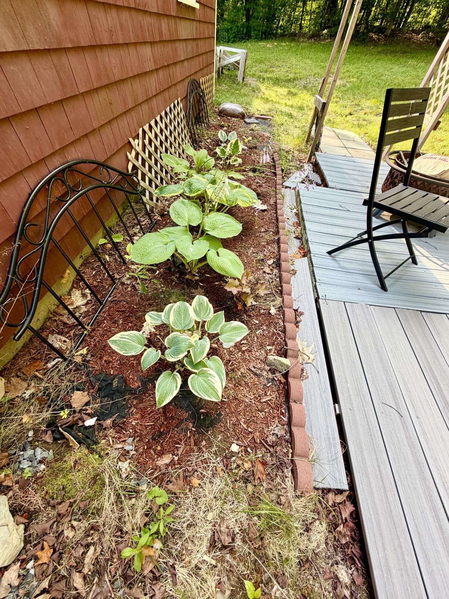 421 Fuller Road Hermon, ME 04401 - Photo 14 of 54 Hostas