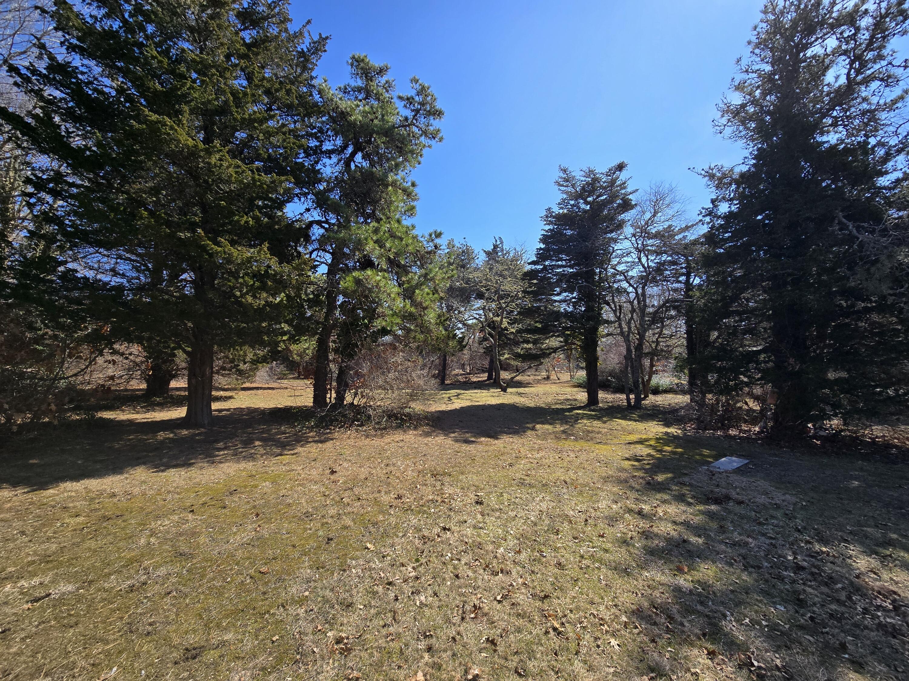 a view of a yard with a tree