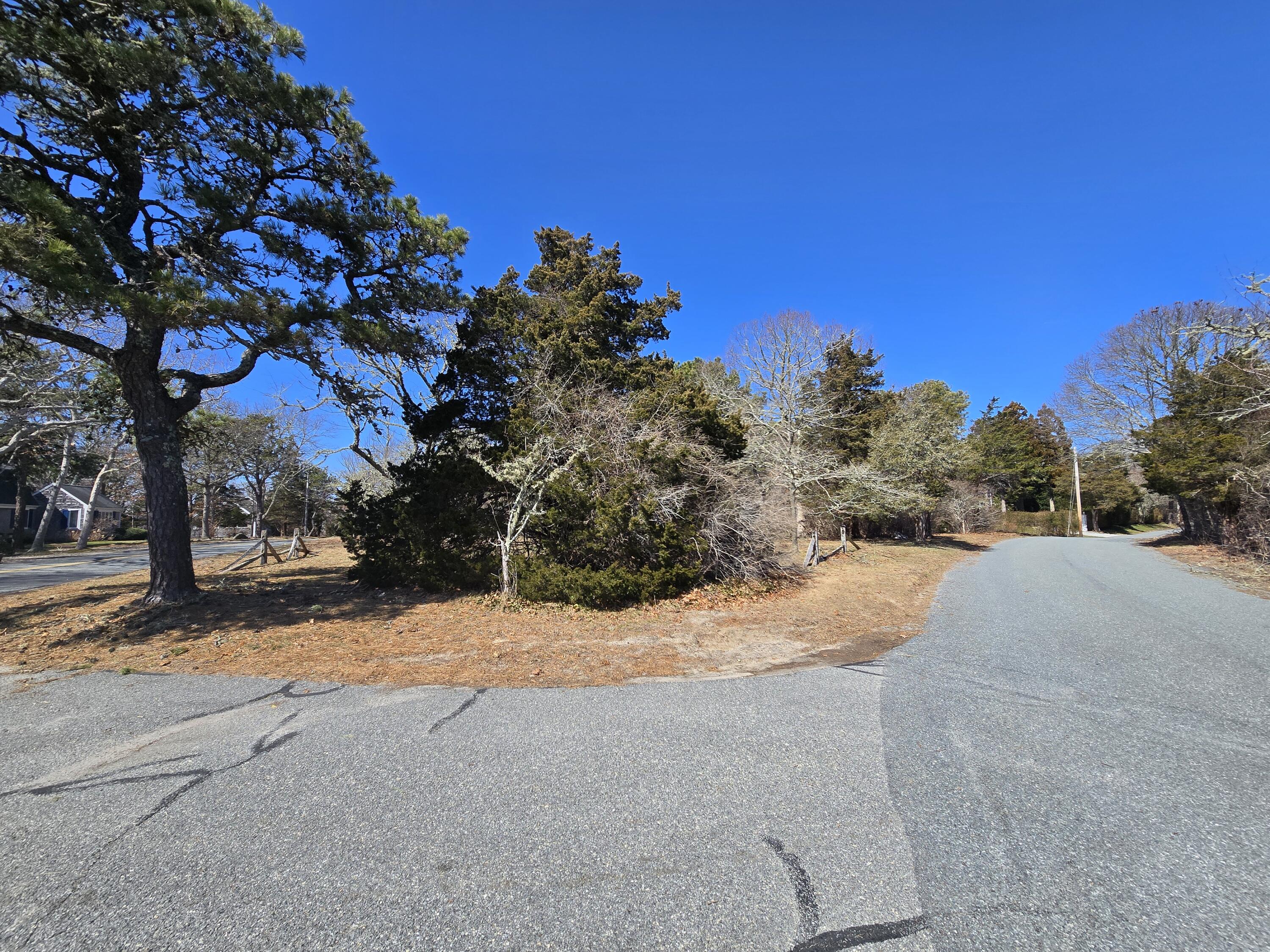 96 Briar Spring Road Orleans, MA 02653 - Photo 11 of 13 a view of a backyard of a house