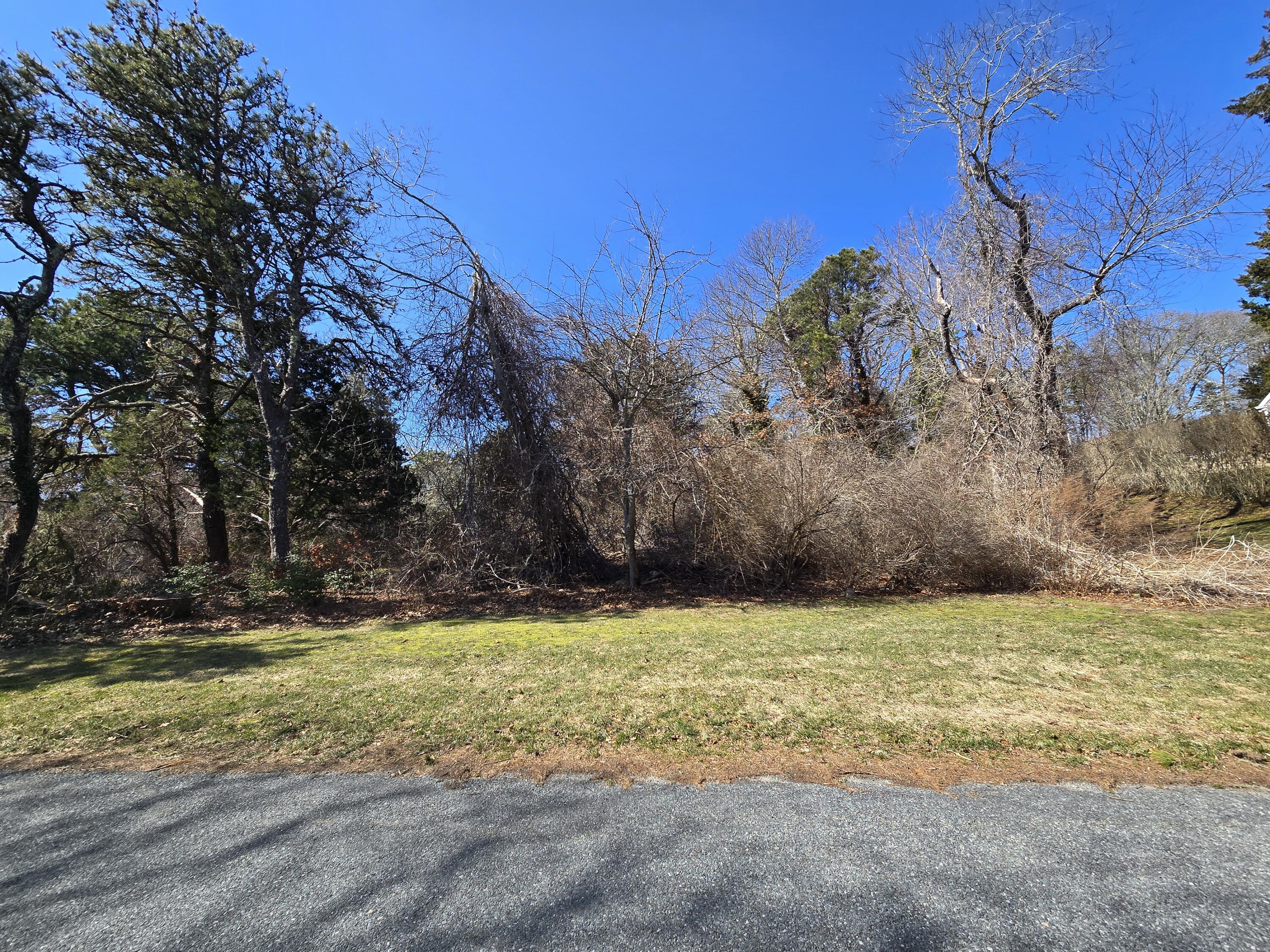 96 Briar Spring Road Orleans, MA 02653 - Photo 13 of 13 a view of a yard with a tree