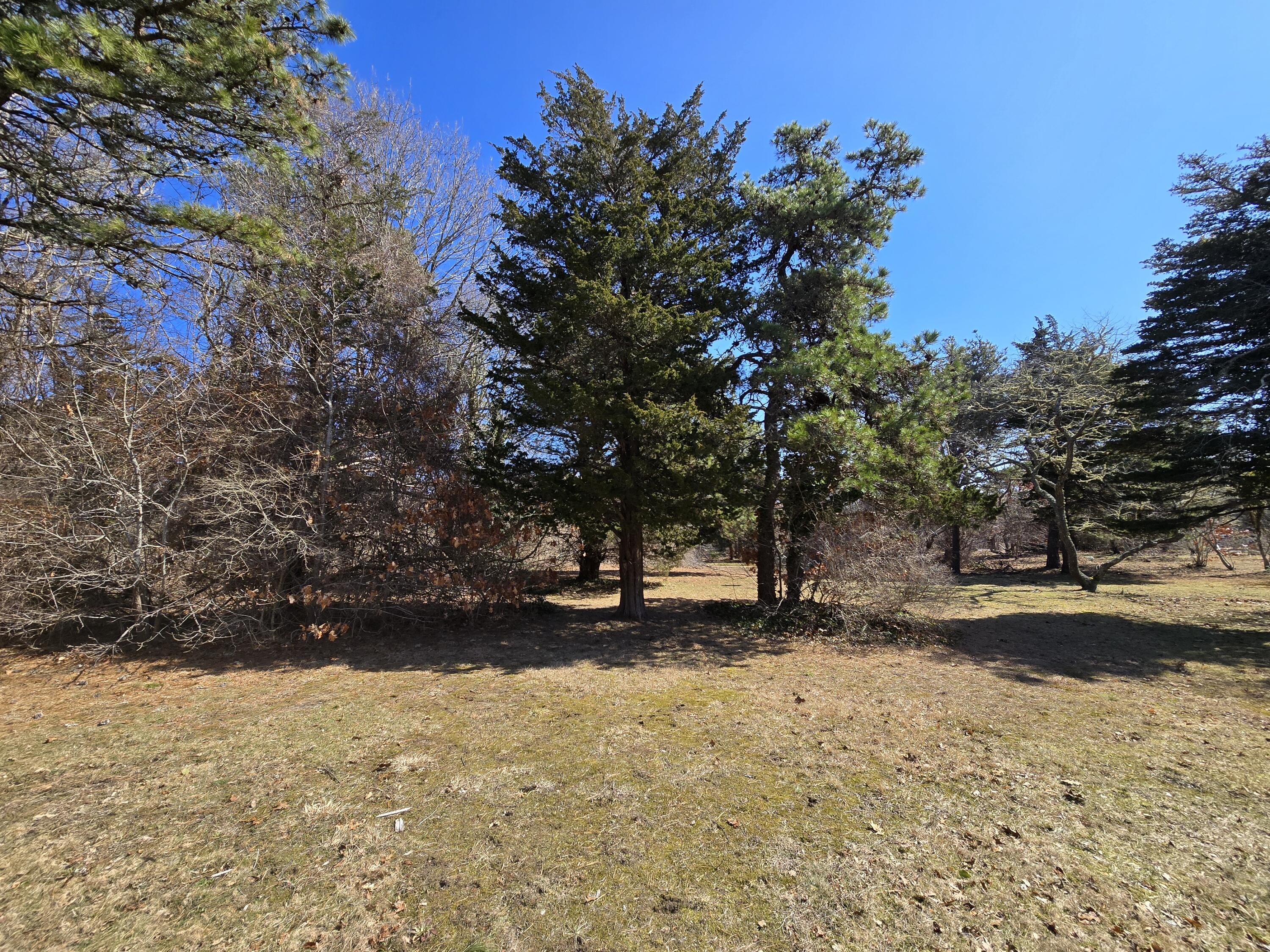 96 Briar Spring Road Orleans, MA 02653 - Photo 4 of 13