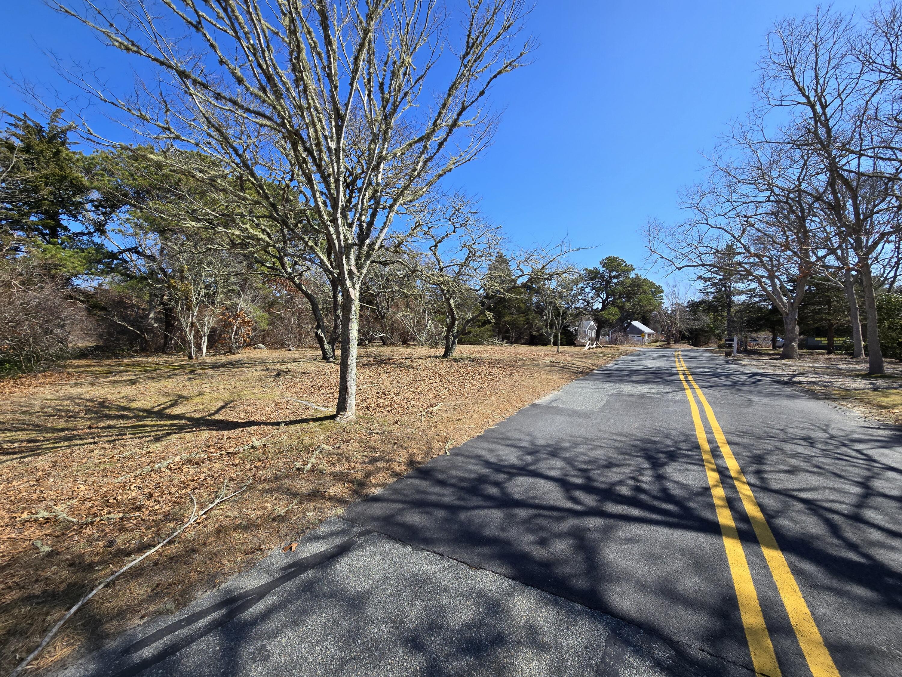 96 Briar Spring Road Orleans, MA 02653 - Photo 5 of 13 a view of yard with trees