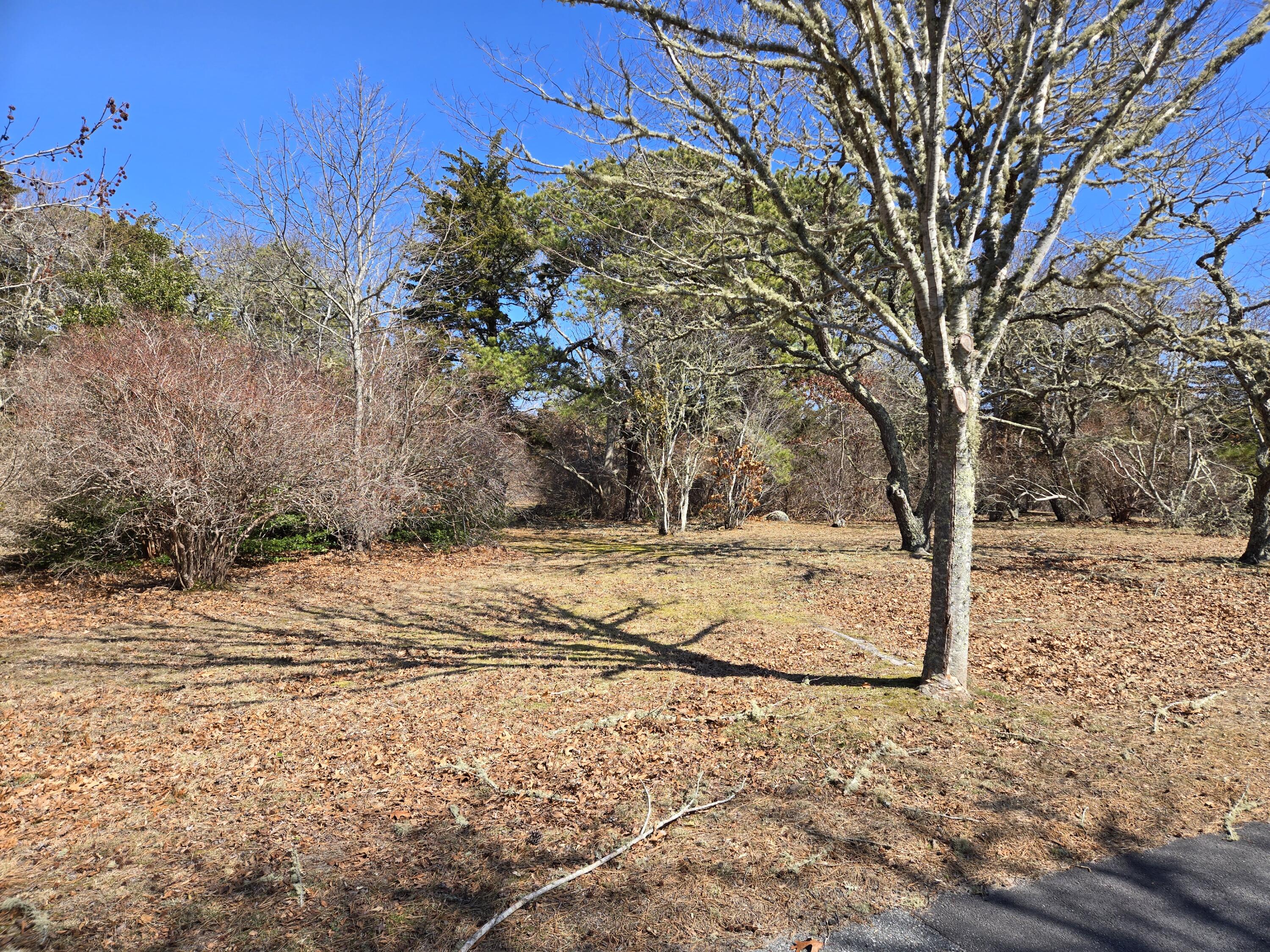 96 Briar Spring Road Orleans, MA 02653 - Photo 6 of 13 a view of a yard with trees