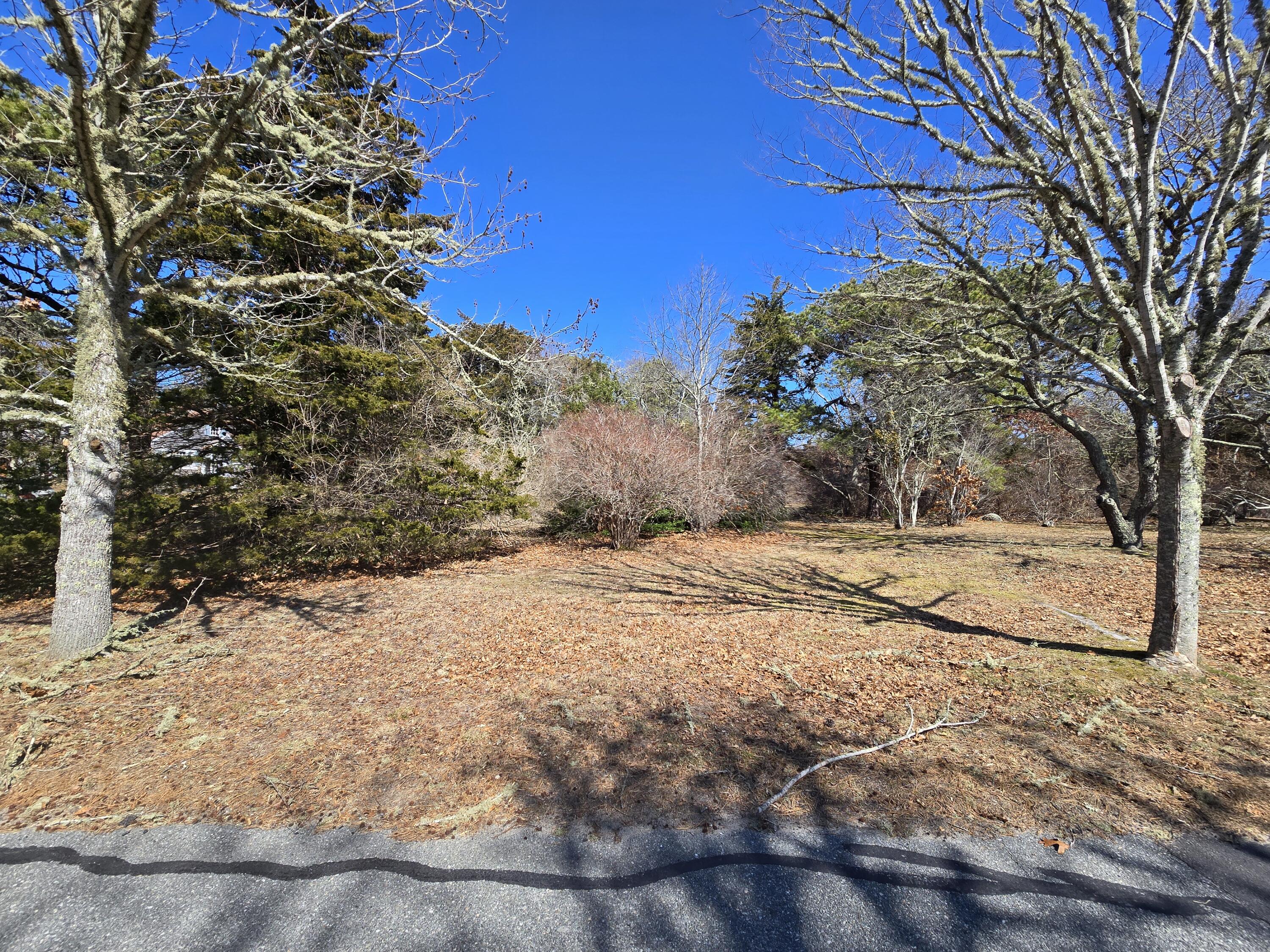 96 Briar Spring Road Orleans, MA 02653 - Photo 7 of 13 a view of a yard with trees