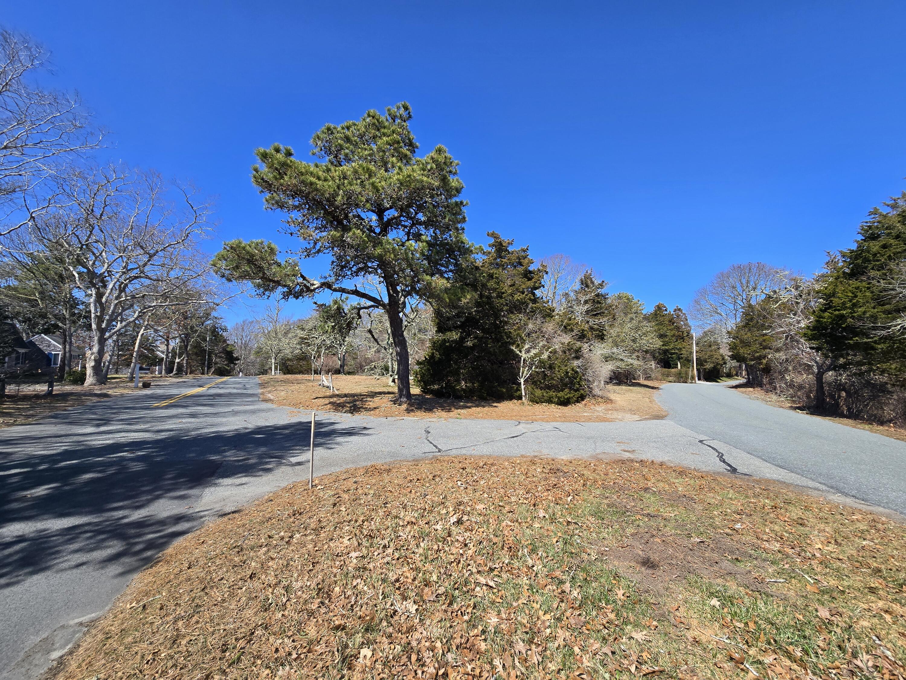 96 Briar Spring Road Orleans, MA 02653 - Photo 8 of 13 a view of a yard with plants and trees