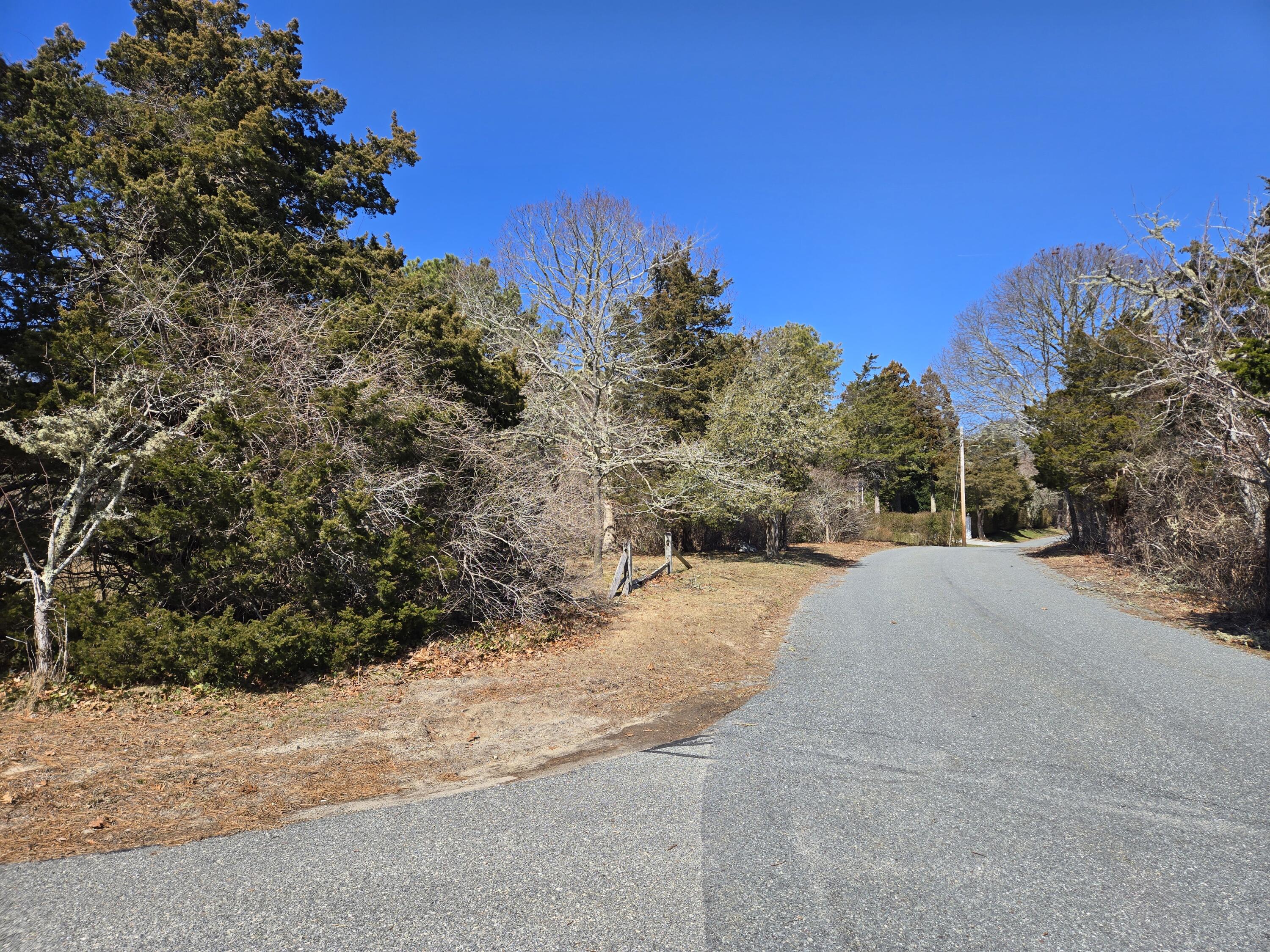 96 Briar Spring Road Orleans, MA 02653 - Photo 9 of 13 a view of a backyard of a house