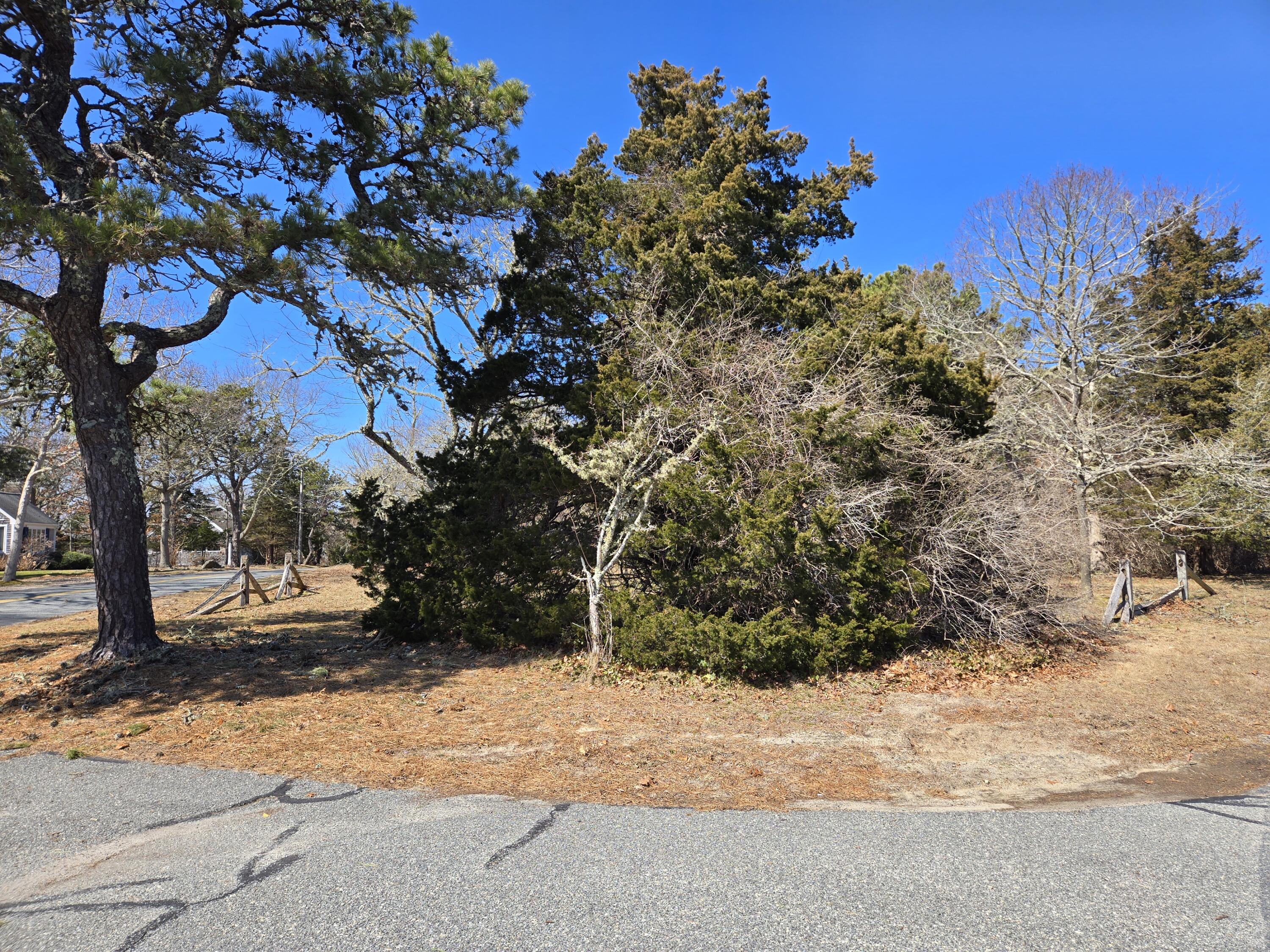 96 Briar Spring Road Orleans, MA 02653 - Photo 10 of 13 a street view with large trees