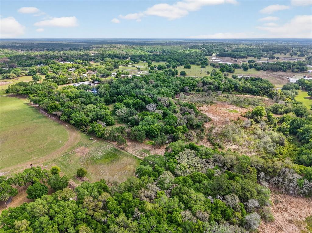 Line Street Umatilla, FL 32784 - Photo 7 of 12