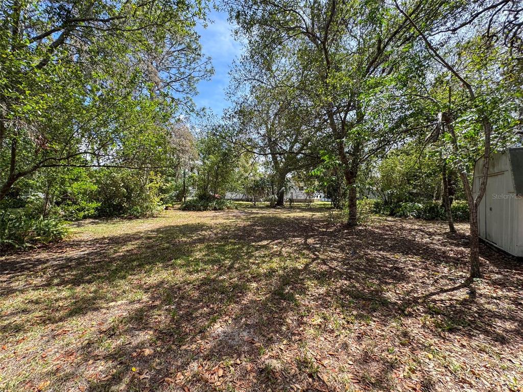 3249 Susan Drive Spring Hill, FL 34606 - Photo 54 of 60 a view of outdoor space with lots of trees