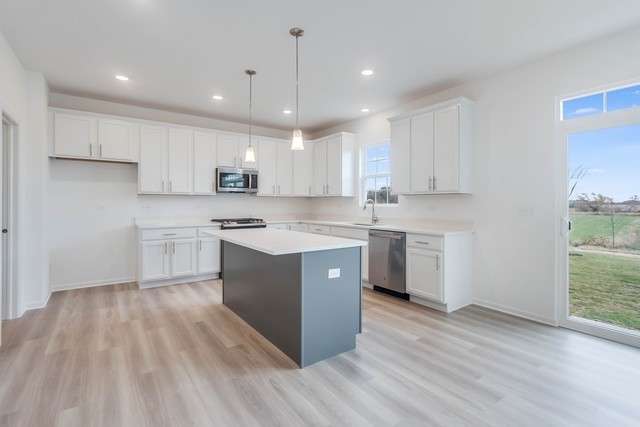 10826 Ashlar Road Huntley, IL 60142 - Photo 12 of 29 Gallery Image 12