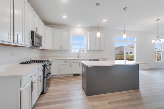 10826 Ashlar Road Huntley, IL 60142 - Photo 14 of 29 Gallery Image 14