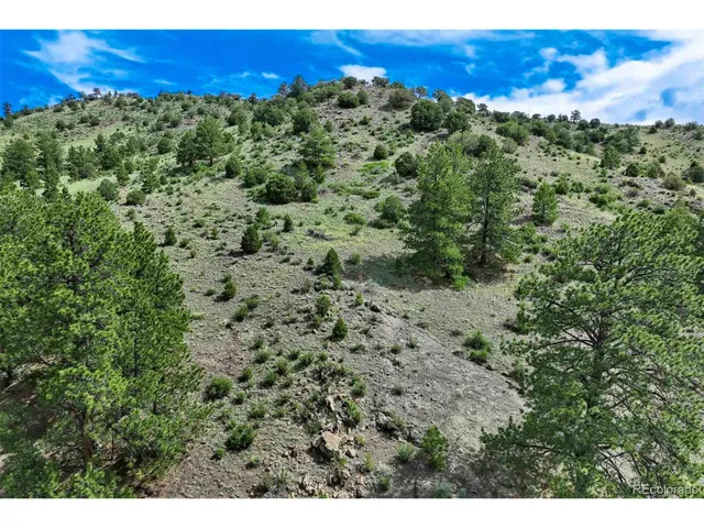 a view of a yard with a street