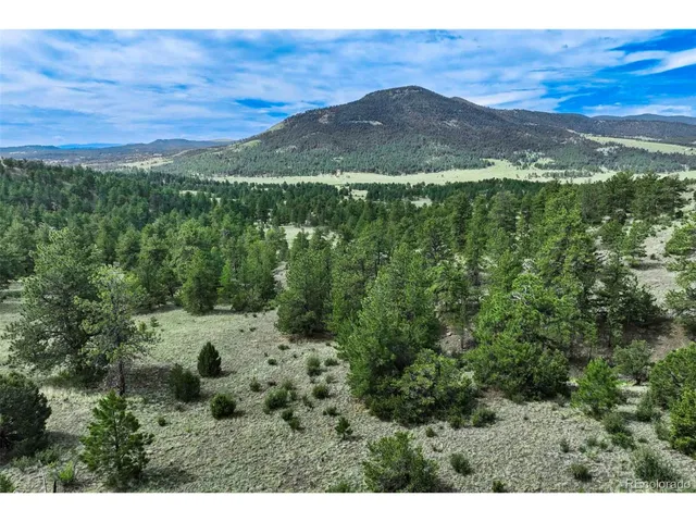 a view of a green field with lots of bushes