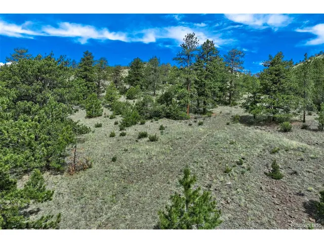 a view of a green yard