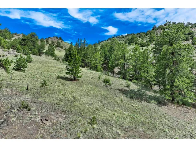 a view of a field with an ocean