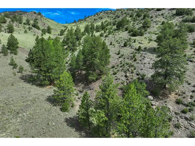 a view of a field with an ocean