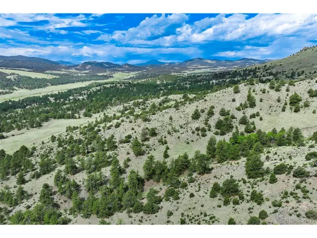 a view of a yard with an outdoor space