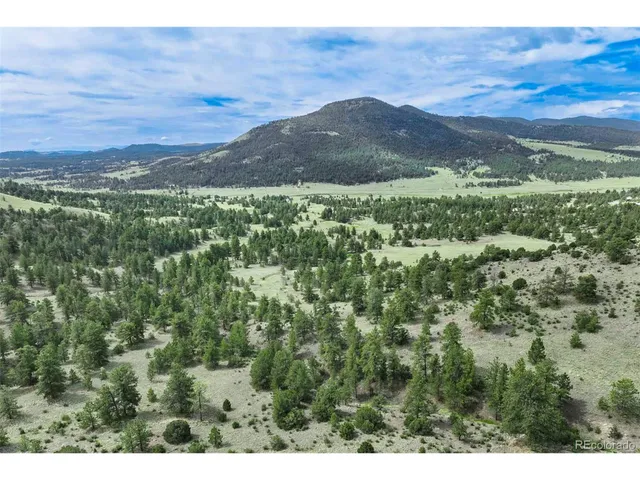 a view of a yard with an trees