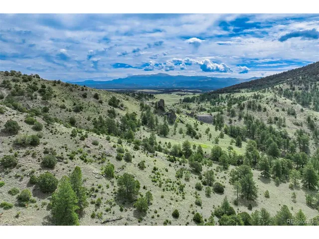 a view of a green field with lots of bushes