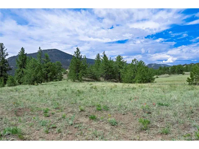 a view of a field with an trees