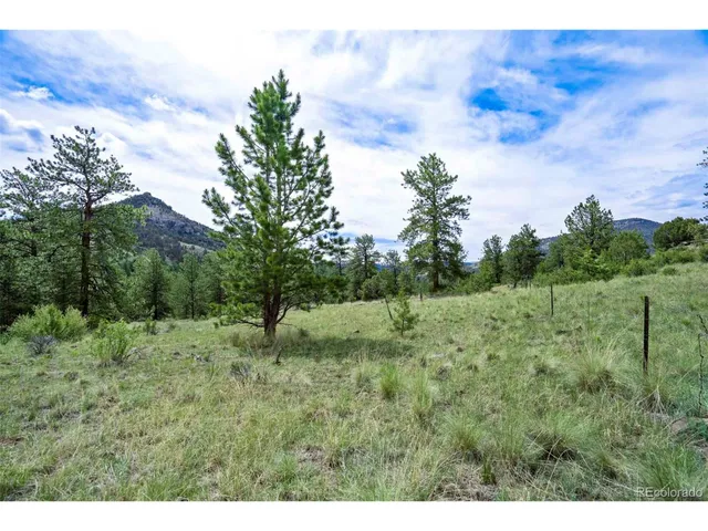 a big yard with lots of green space