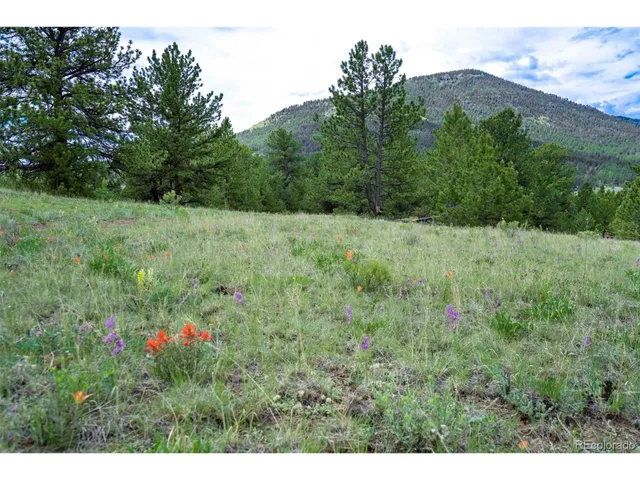 a view of a lush green field