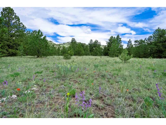 a view of an outdoor space and a yard