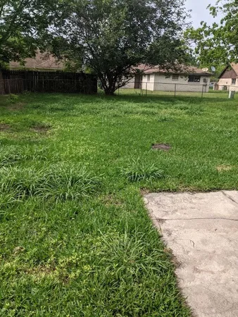 a view of a garden with a bench in the background