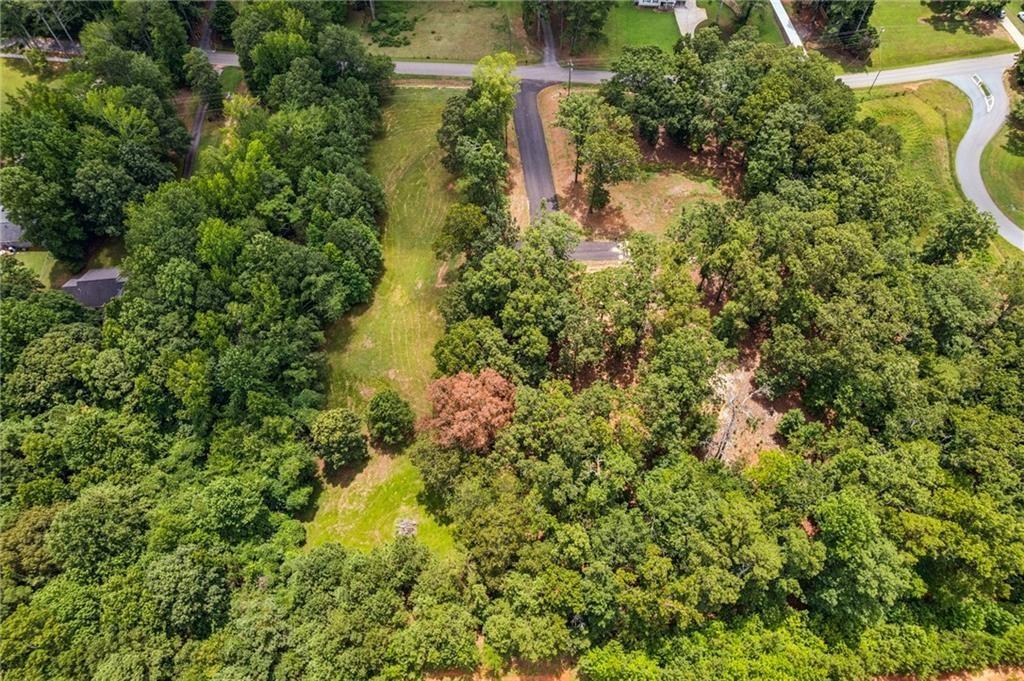 8455 Forsyth Commons Cumming, GA 30041 - Photo 6 of 10 a view of a forest with a tree