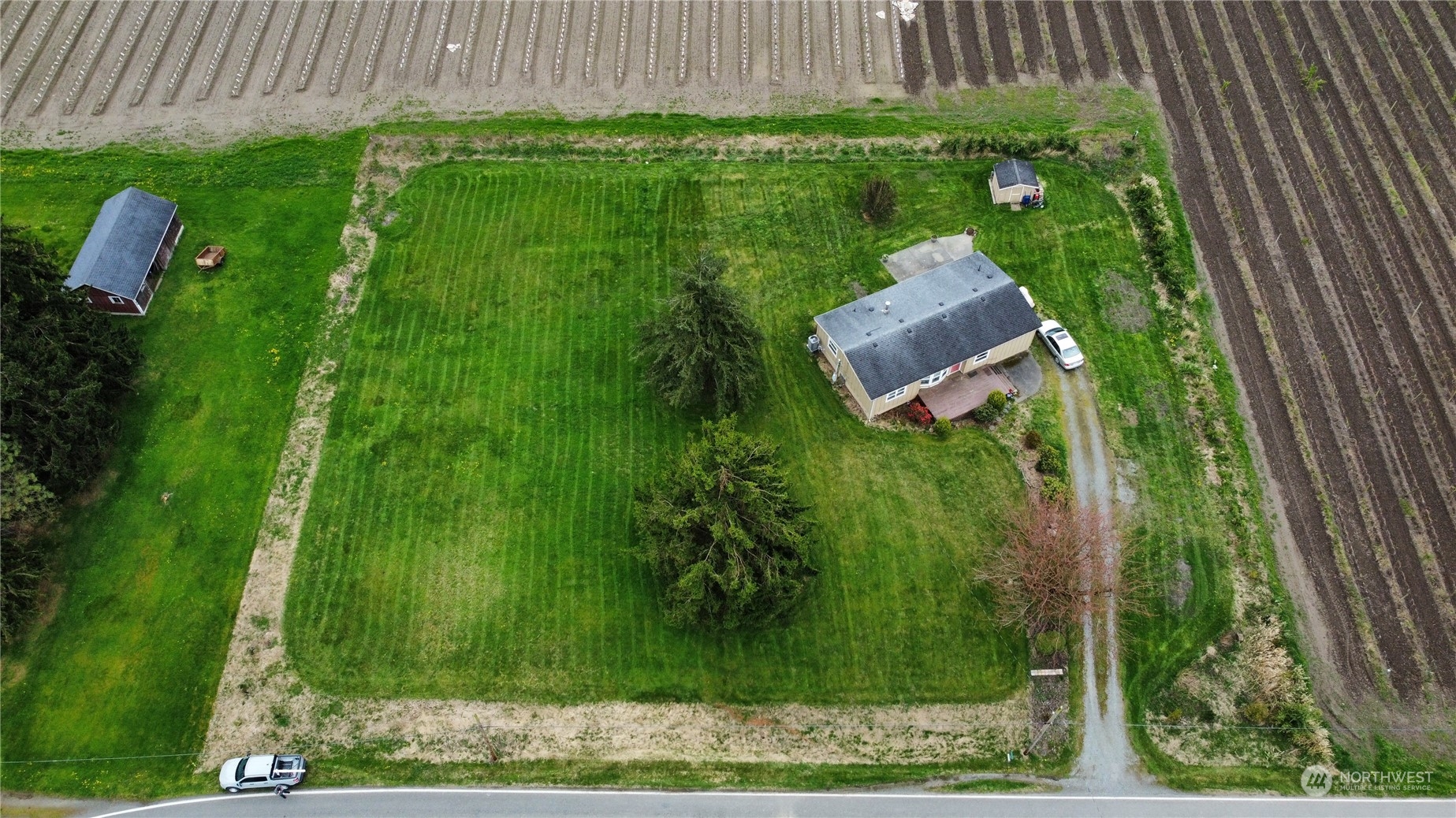 8242 Gillies Road Everson, WA 98247 - Photo 23 of 23 a backyard of a house with lots of green space