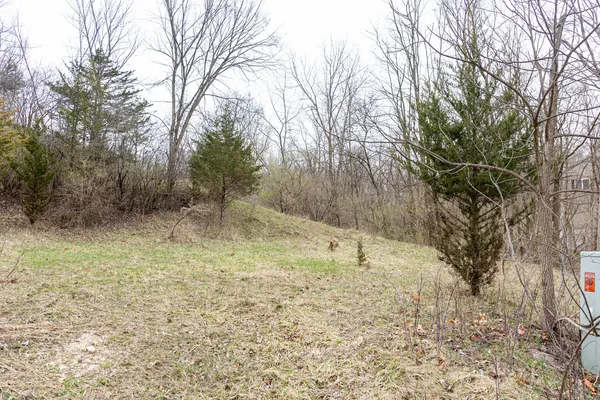 a view of a yard with a tree