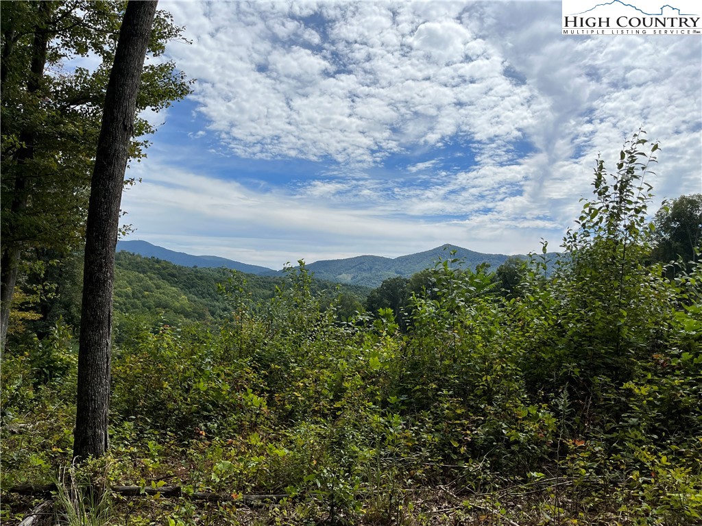 Pine Drive Warrensville, NC 28693 - Photo 2 of 4 a view of a city from a bunch of trees