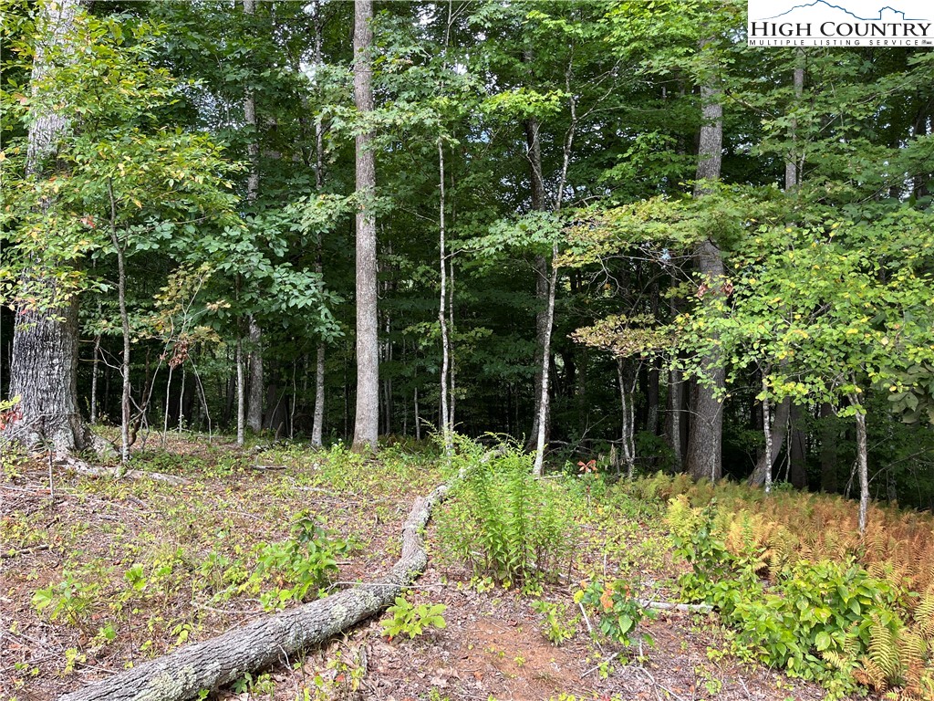 Pine Drive Warrensville, NC 28693 - Photo 4 of 4 a backyard of a house with lots of green space