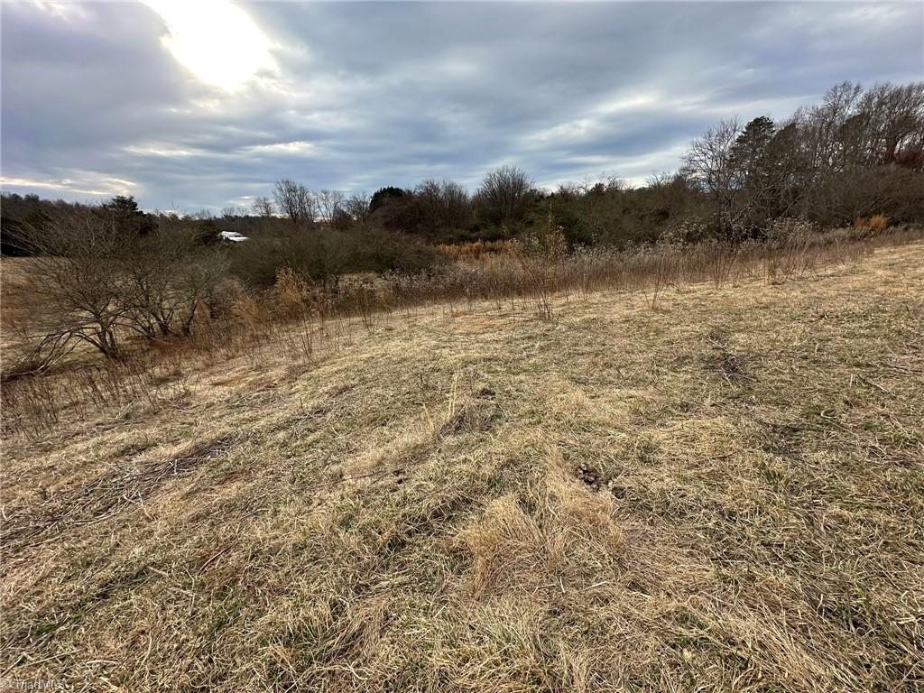 Tbd Old Offen Po Road Traphill, NC 28685 - Photo 13 of 24