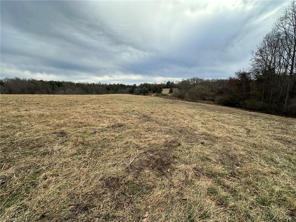 Tbd Old Offen Po Road Traphill, NC 28685 - Photo 14 of 24