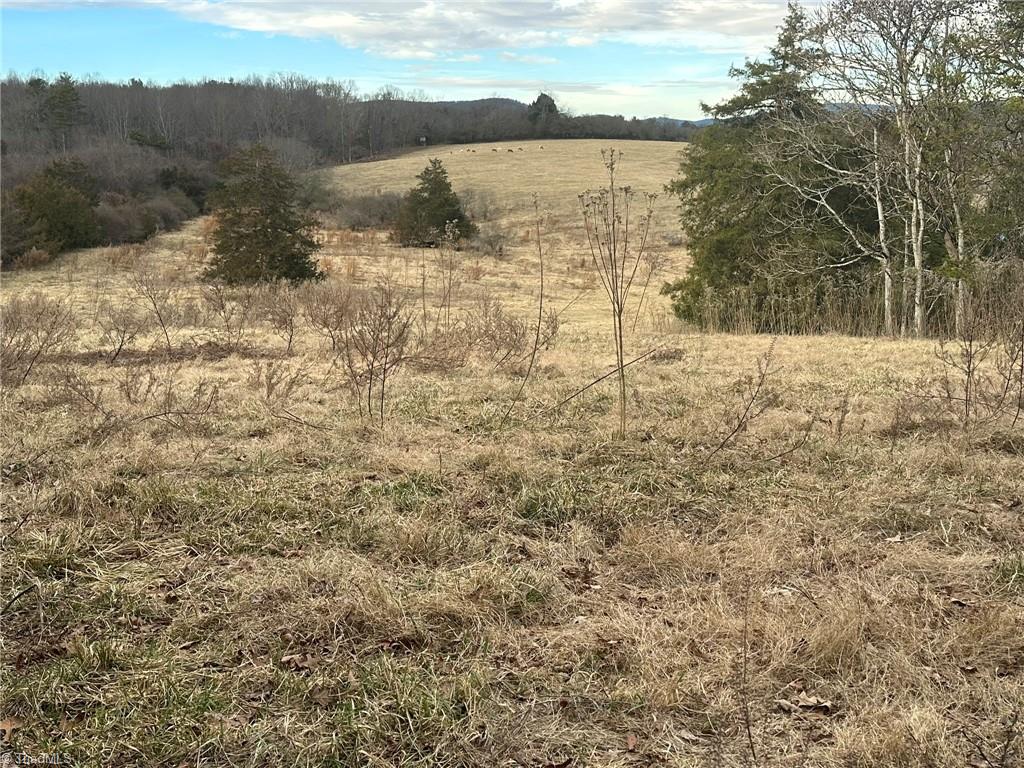 Tbd Old Offen Po Road Traphill, NC 28685 - Photo 18 of 24