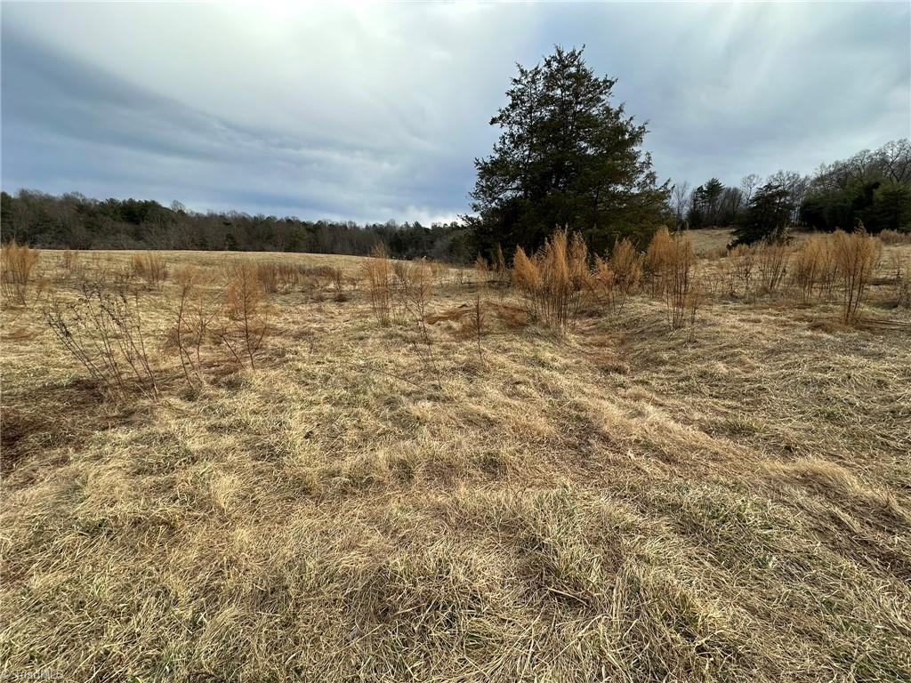 Tbd Old Offen Po Road Traphill, NC 28685 - Photo 22 of 24