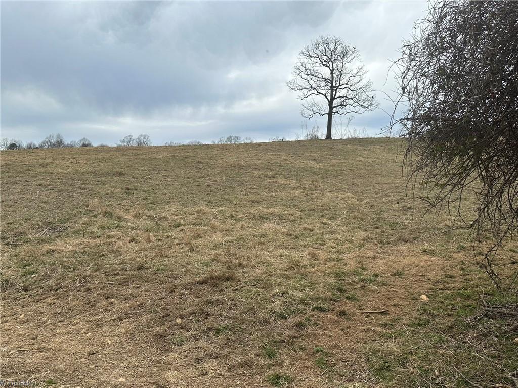 Tbd Old Offen Po Road Traphill, NC 28685 - Photo 23 of 24