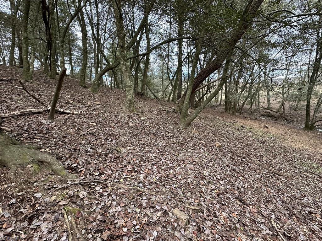 Tbd Old Offen Po Road Traphill, NC 28685 - Photo 6 of 24