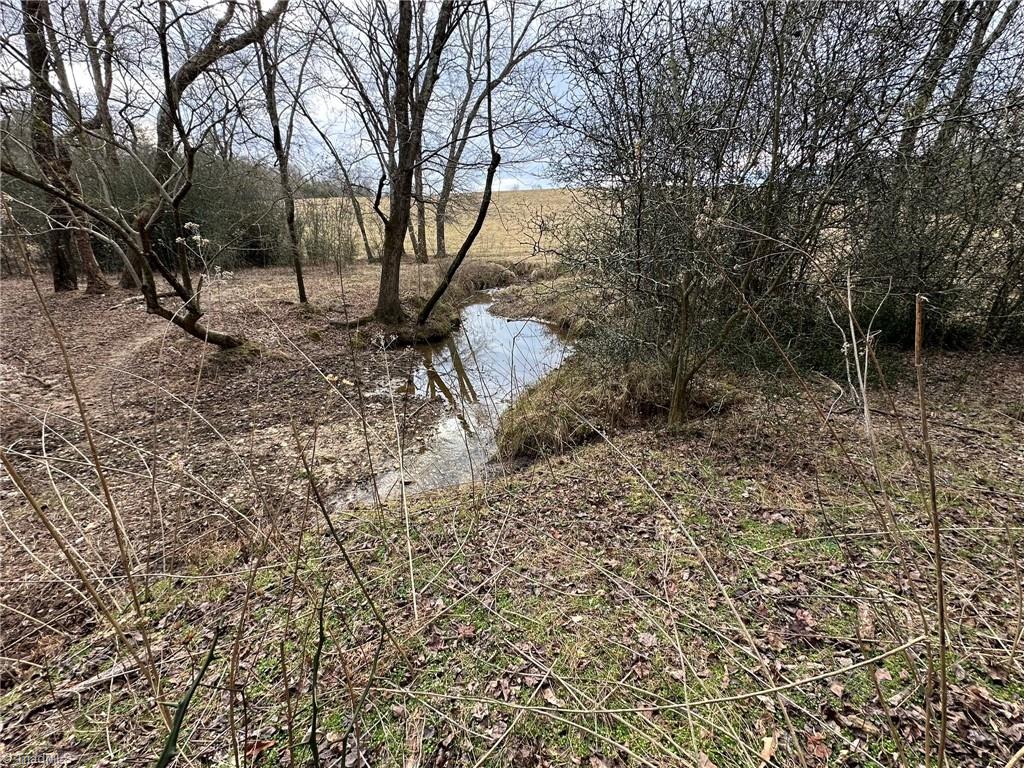 Tbd Old Offen Po Road Traphill, NC 28685 - Photo 7 of 24