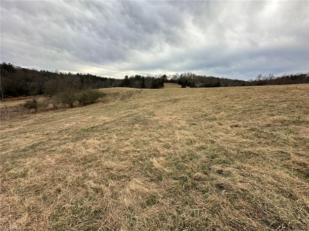 Tbd Old Offen Po Road Traphill, NC 28685 - Photo 8 of 24