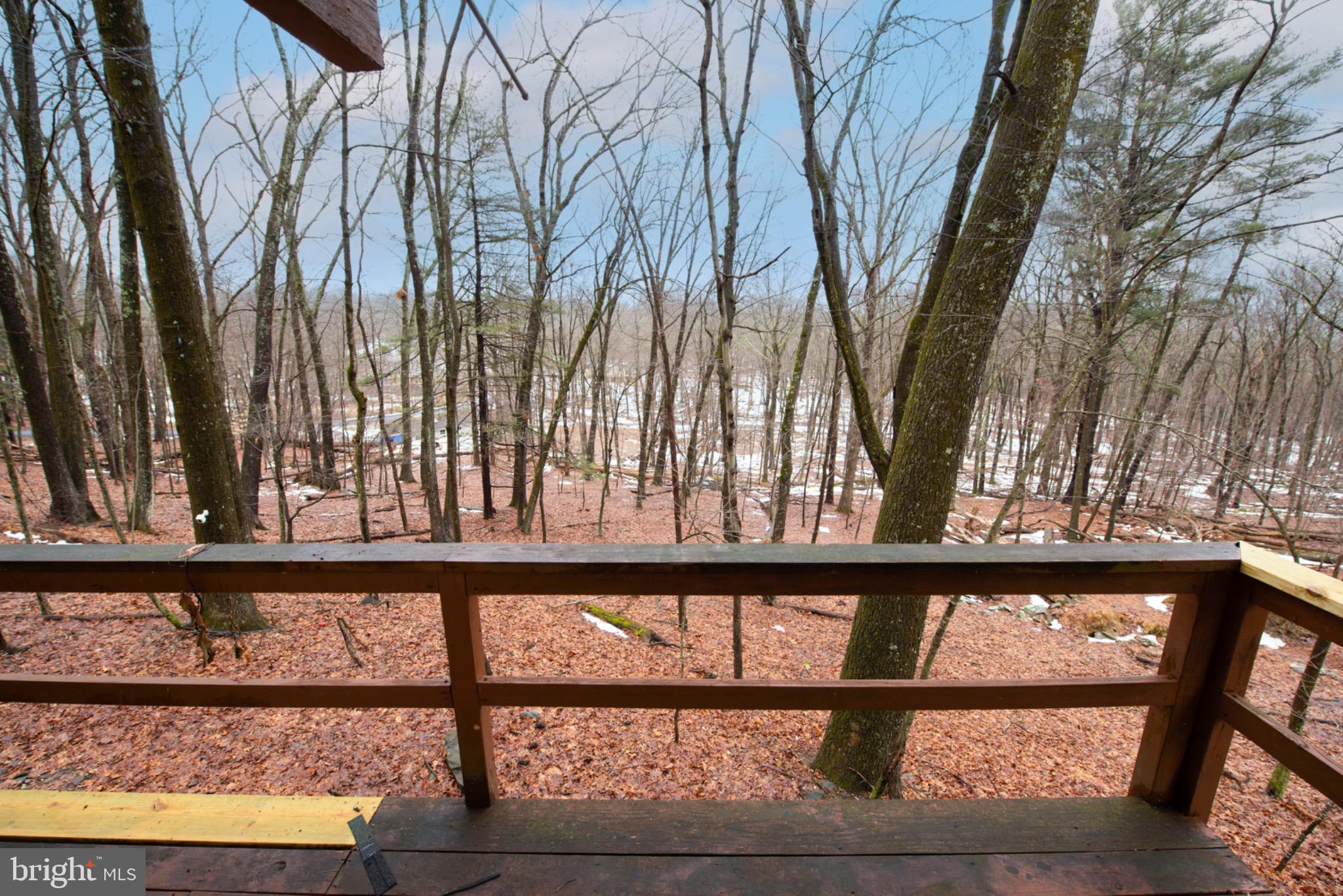 117 Swallow Circle Bushkill, PA 18324 - Photo 20 of 47