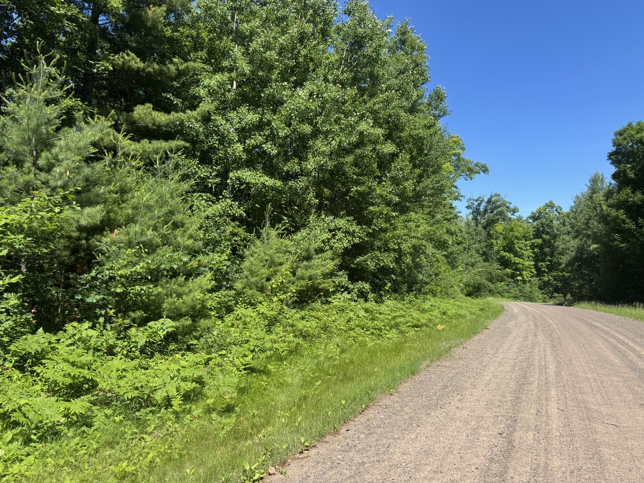 Xx Bean Brk Lane Stone Lake, WI 54876 - Photo 11 of 16