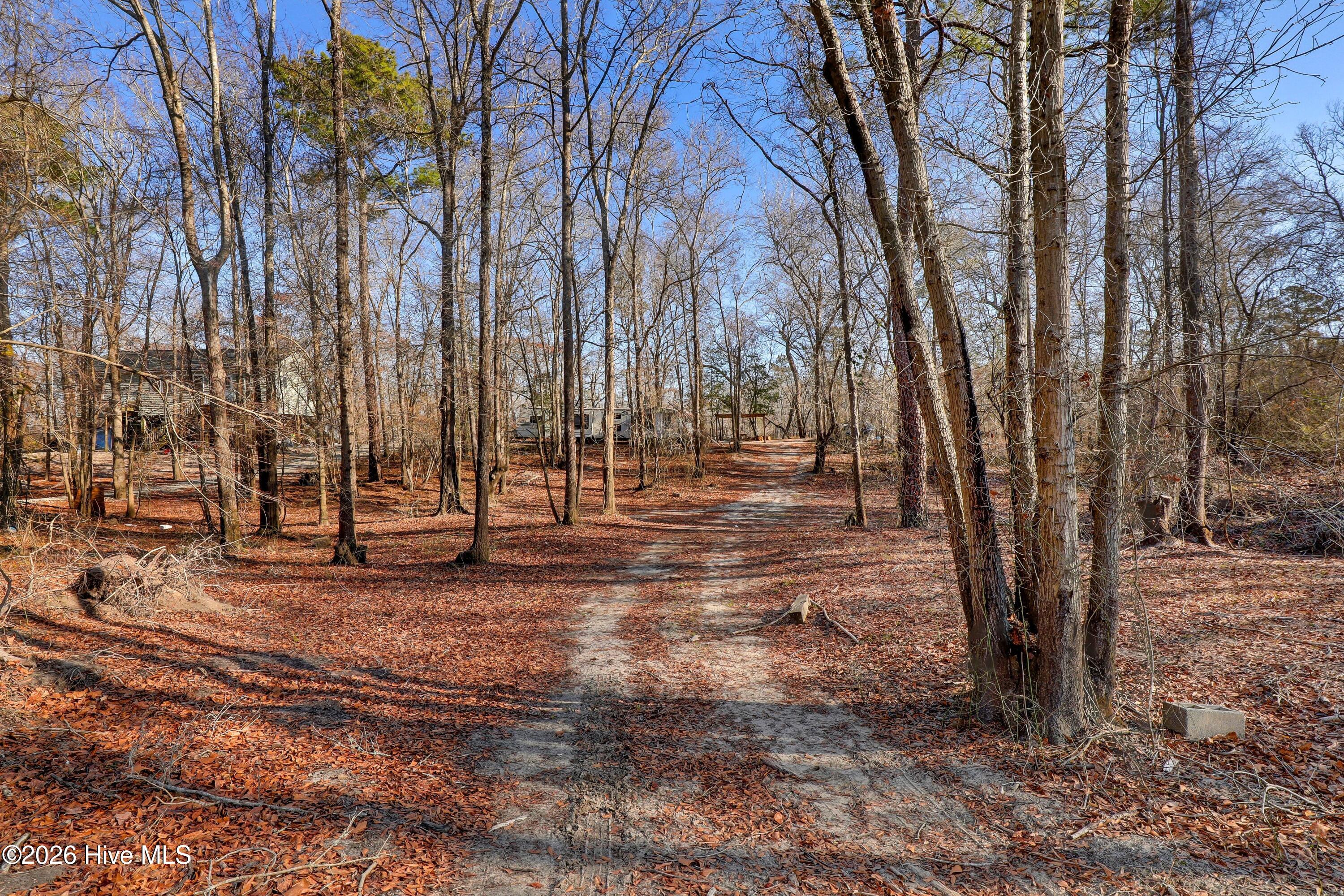 Lot 19 Ruddy Duck Lane Willard, NC 28478 - Photo 2 of 34 001_6g8a1497_694