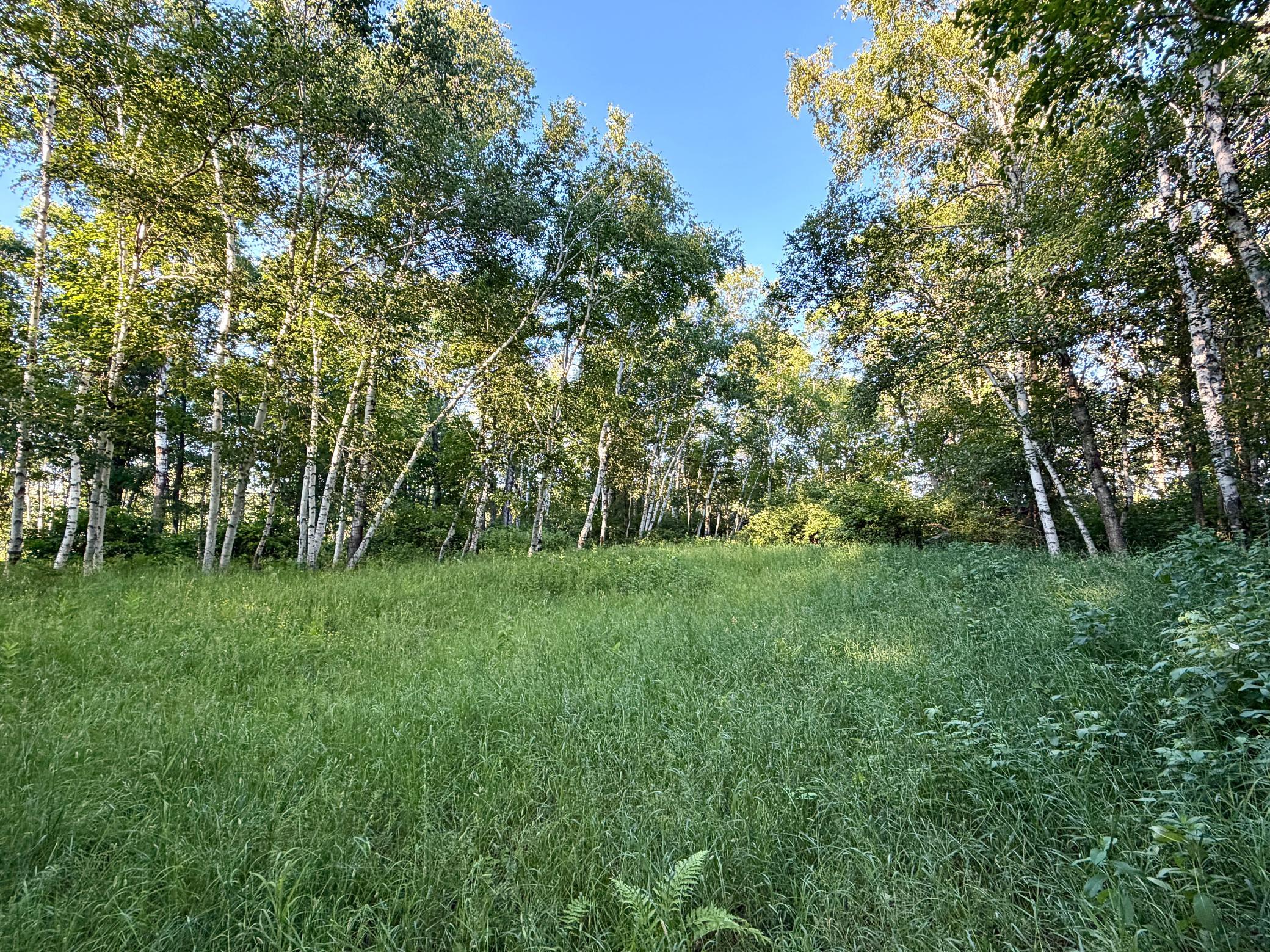 L18-b1 L18-b1 Acorn Ridge Road Northwest Bemidji, MN 56601 - Photo 5 of 11