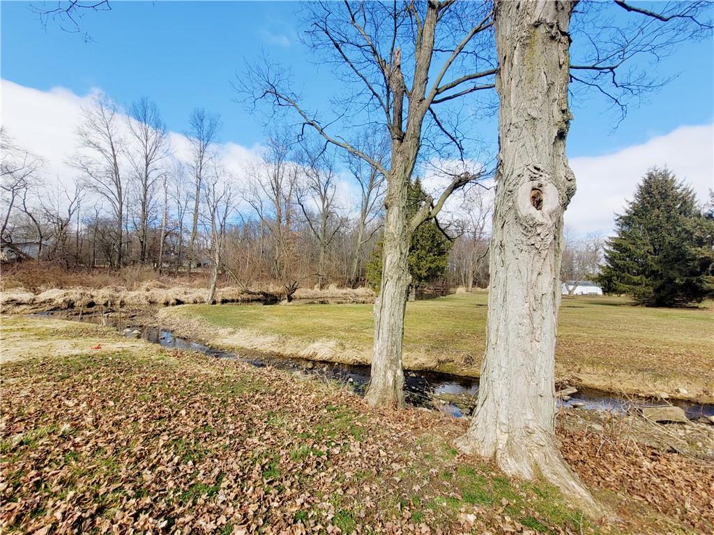 2340 Mercer West Middlesex Road West Middlesex, PA 16159 - Photo 8 of 36 a view of a yard with trees