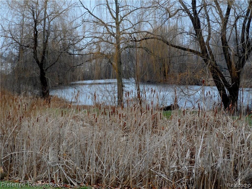 1289 Woodland Springs Drive Howell, MI 48843 - Photo 38 of 39 SAM_2595.JPG