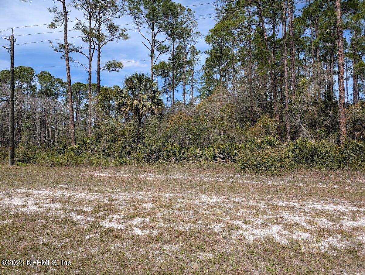 350-354 Georgetown Denver Road Georgetown, FL 32139 - Photo 3 of 6 a view of a yard with a tree