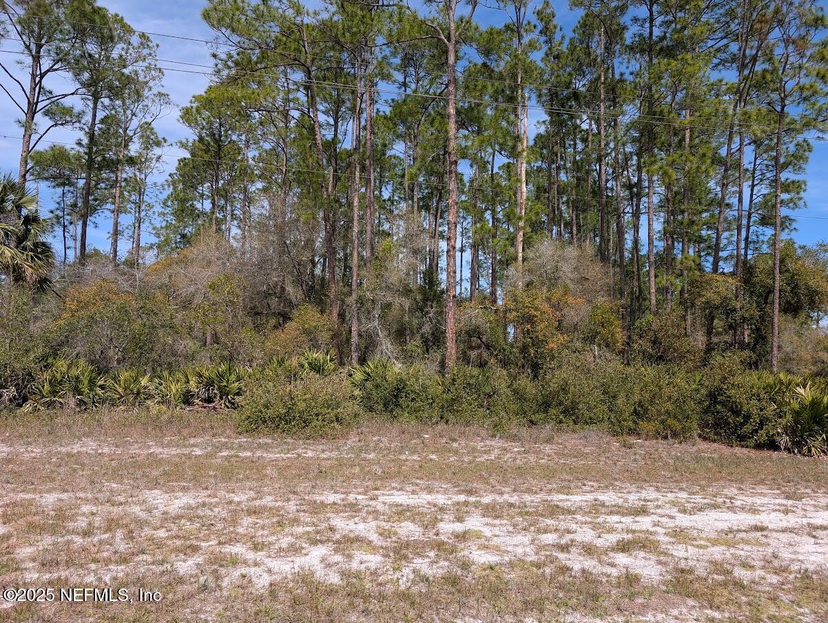 350-354 Georgetown Denver Road Georgetown, FL 32139 - Photo 4 of 6 a view of outdoor space and yard